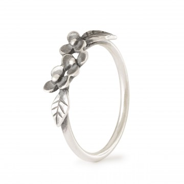 Anillo Gracia de Flores